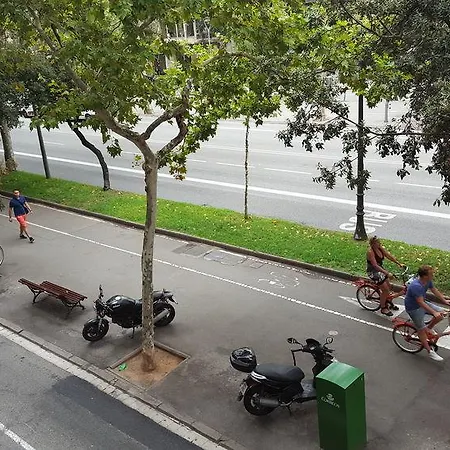 Diagonal House Hostal *